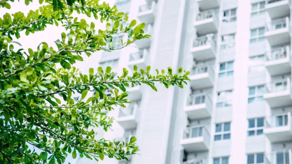 green building