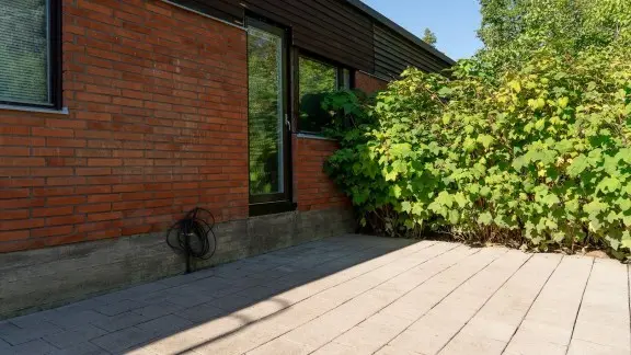 Cleaned backyard