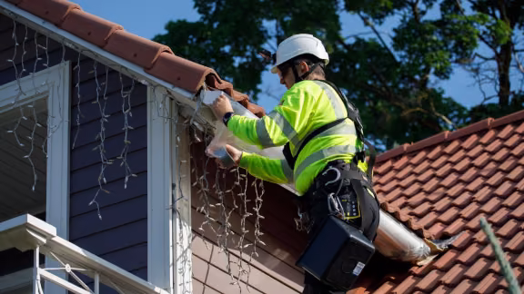 Roof painting