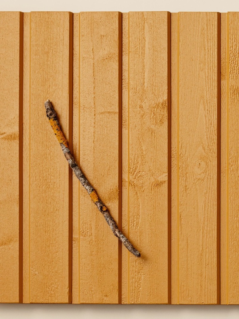 popularny kolor na drewniane elewacje – musztardowy odcień Tikkurila D105 Sinappi