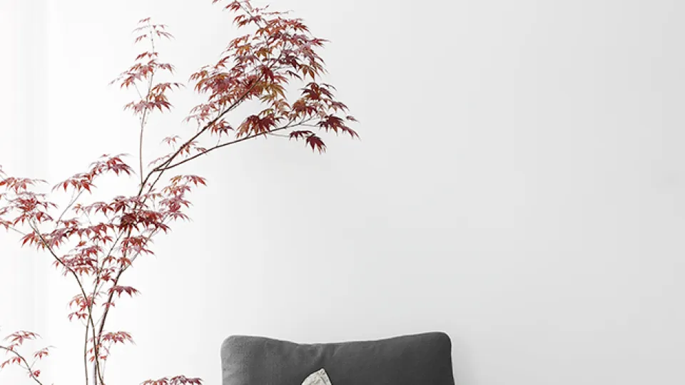 kolekcja-off-white-Tikkurila-Optiva-White