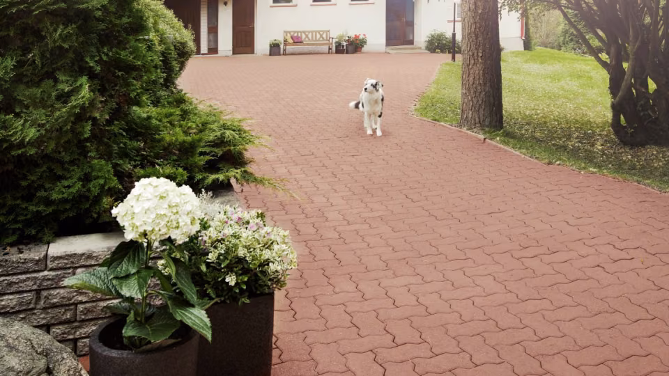 Renowacja kostki brukowej przy użyciu farby Tikkurila