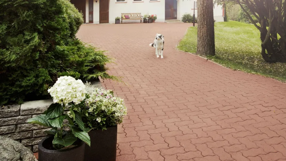 Renowacja kostki brukowej przy użyciu farby Tikkurila