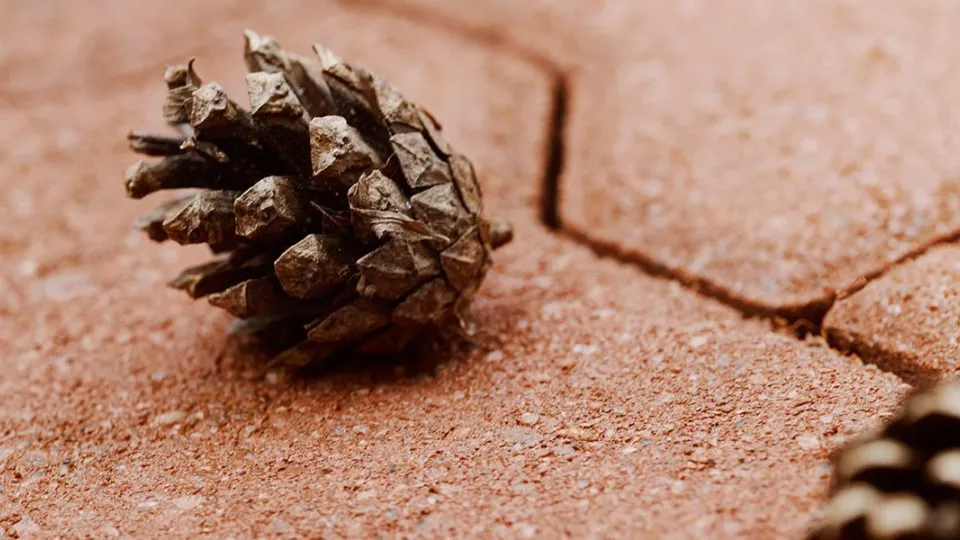 kolory-bejcy-do-kostki-brukowej