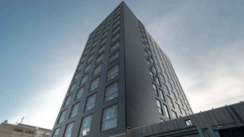 najwyższy na świecie budynek o drewnianej konstrukcji