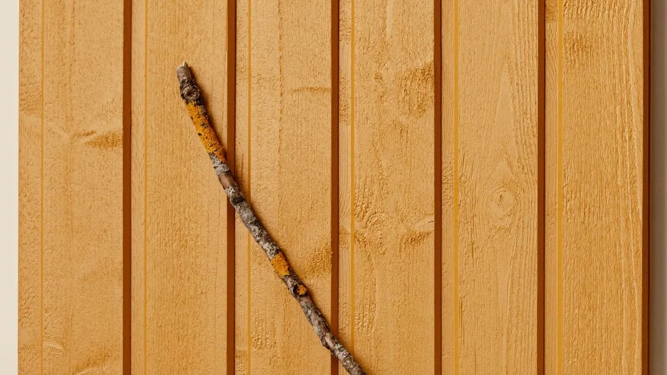 popularny kolor na drewniane elewacje - musztardowy D105 Sinappi