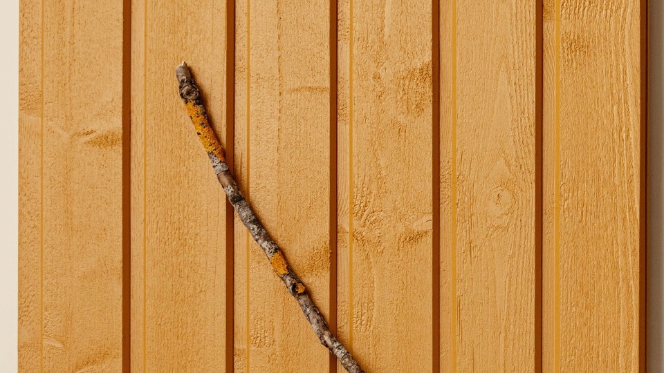 popularny kolor na drewniane elewacje - musztardowy D105 Sinappi
