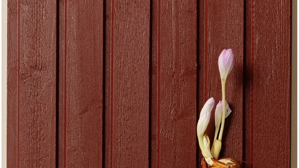 popularny kolor na drewniane elewacje - czerwień D110 Menninkainen