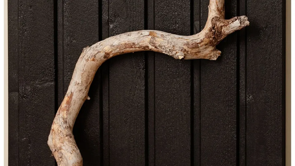 popularny kolor na drewniane elewacje - czerń D129 Korppi