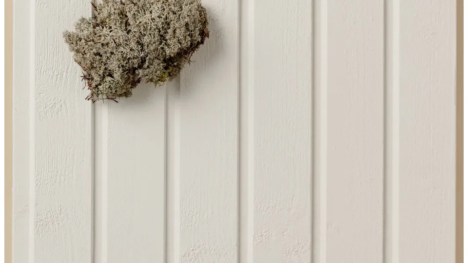 popularny kolor na drewniane elewacje - biel Q854 Pyry