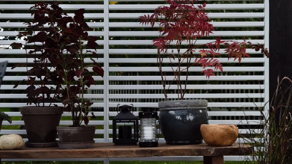 pergola