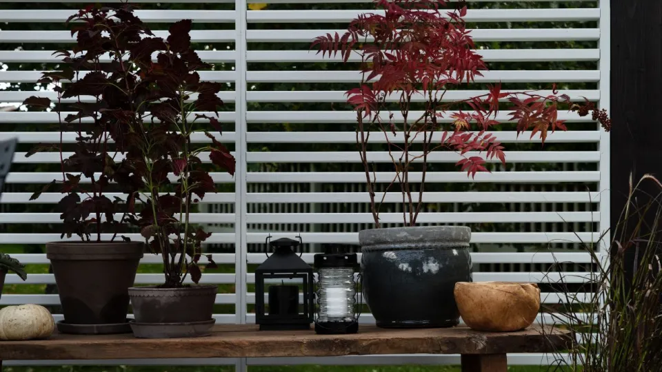 pergola