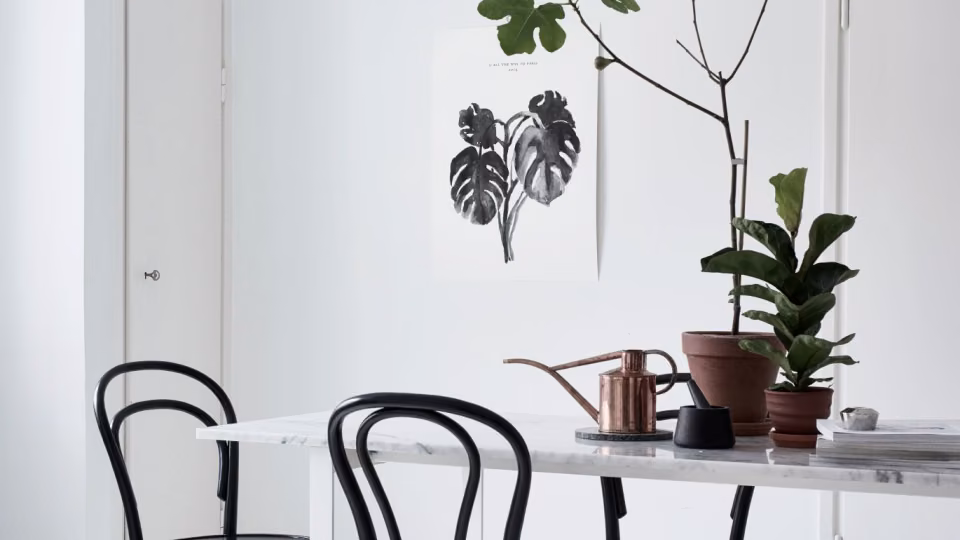 Aranżacje wnętrz w tonacji off-white - kolor Zephyr