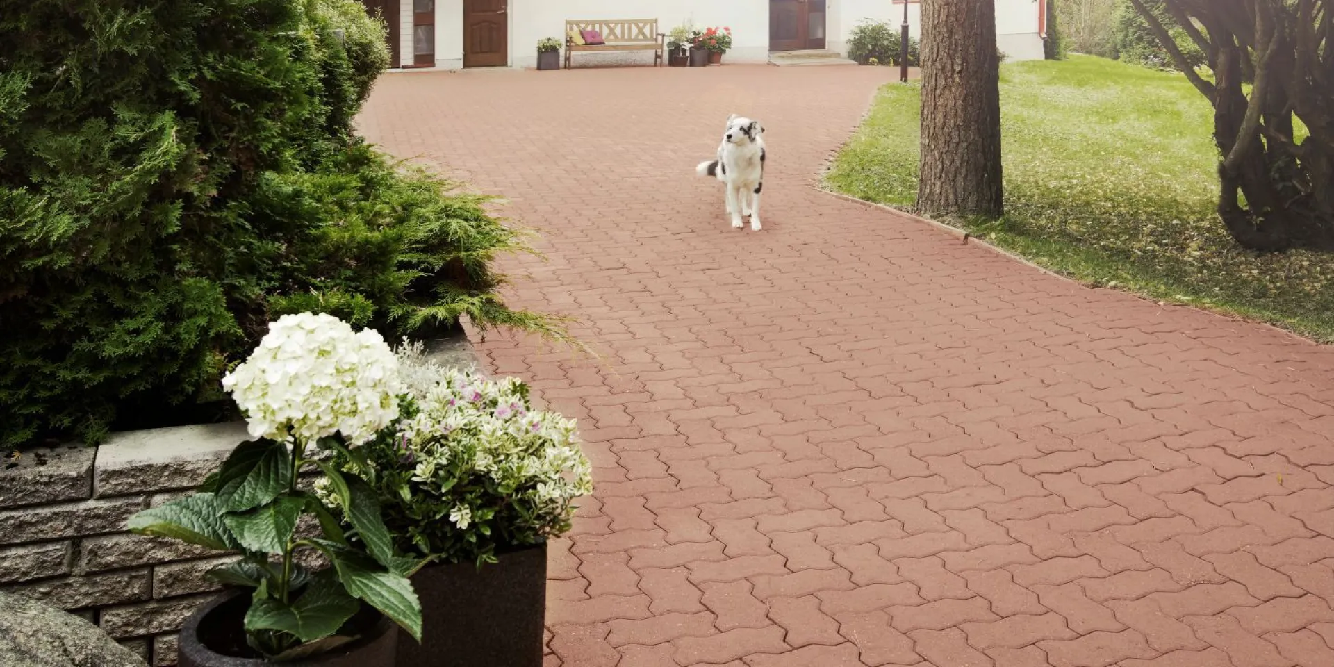 Odświeżenie powierzchni betonowych farbą do kostki brukowej Tikkurila