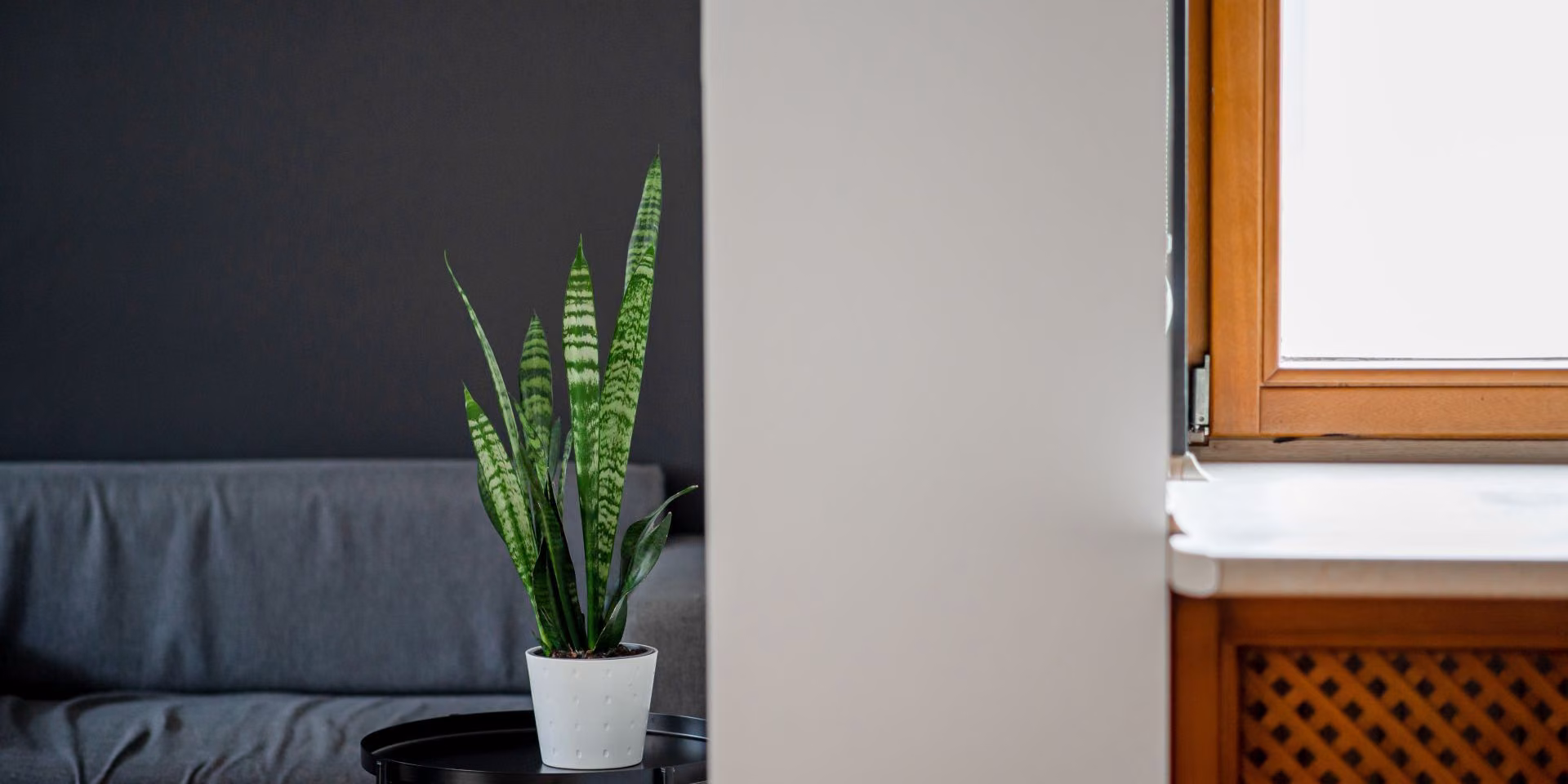 Biało-czarne ściany w biurze pomalowane farbą oczyszczającą powietrze Tikkurila Optiva Clean Air.