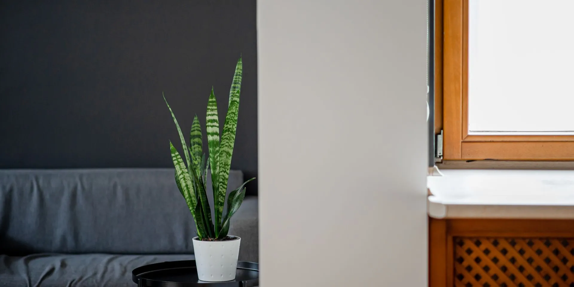 Biało-czarne ściany w biurze pomalowane farbą oczyszczającą powietrze Tikkurila Optiva Clean Air.