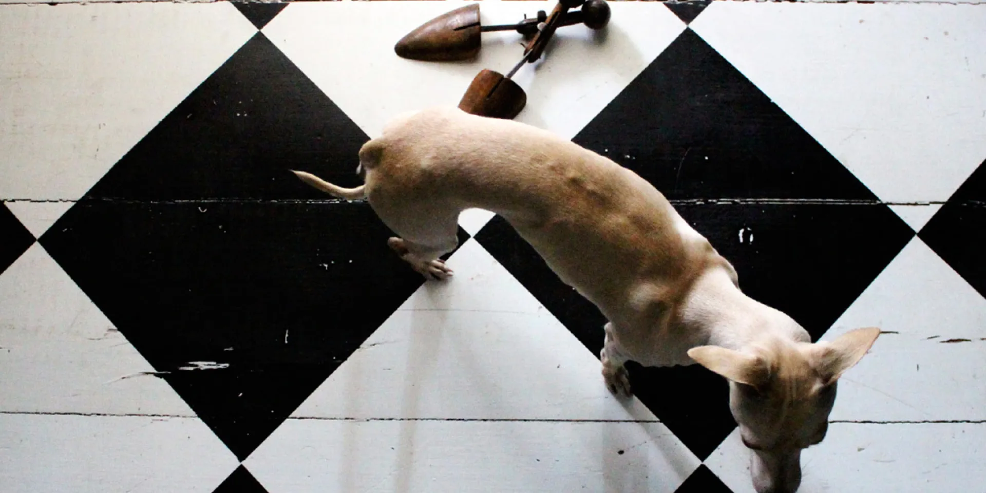 Podłoga pomalowana w czarno-biały wzór