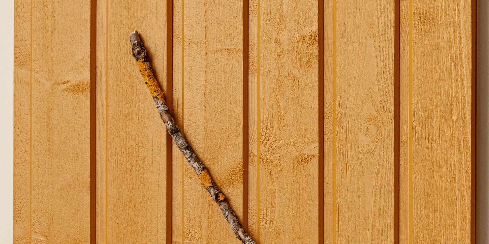 popularny kolor na drewniane elewacje – musztardowy odcień Tikkurila D105 Sinappi