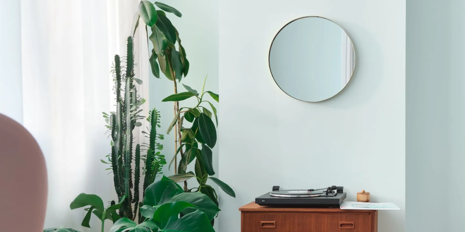 ściana w kolorze jasnej zieleni