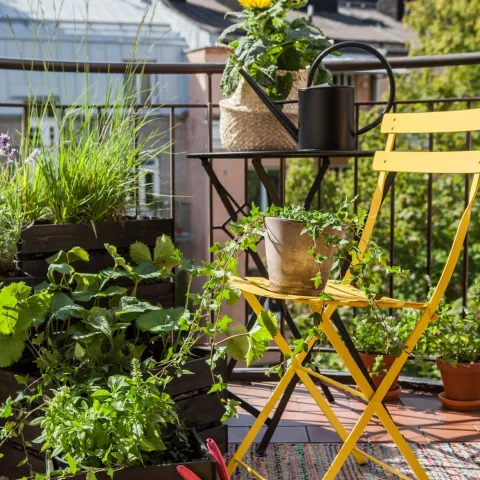 Aranżacja balkonu z roślinami