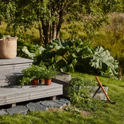 taras z roślinnością