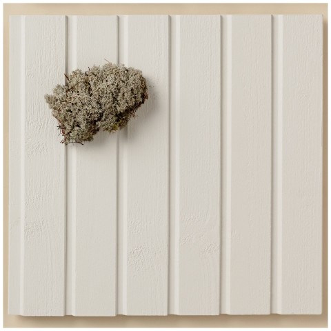 Popularny kolor na drewniane elewacje – biel Tikkurila Q854 Pyry