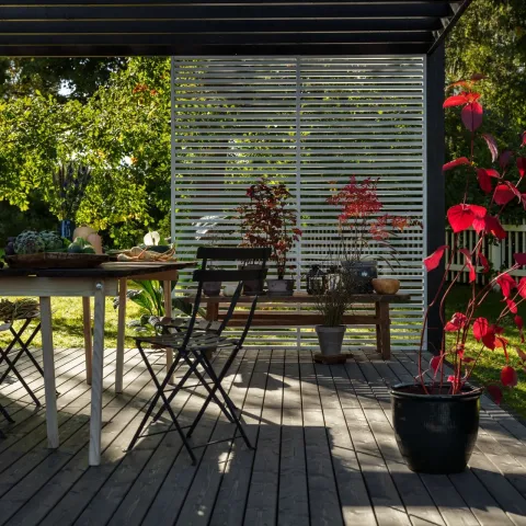 jak wybrać kolor na taras