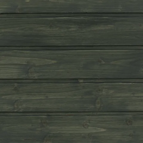 Dark woods