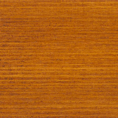 Amber Teak
