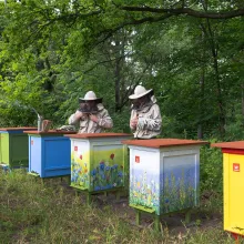 pasieka Tikkurila