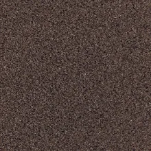 Bronzite