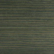 Kuusi