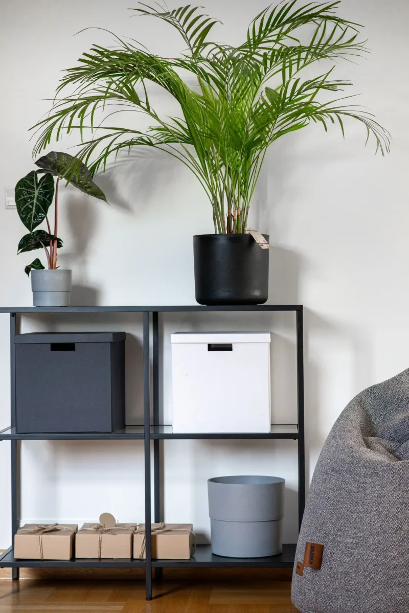 Ściana w biurze pomalowana farbą oczyszczającą powietrze Tikkurila Optiva Clean Air.