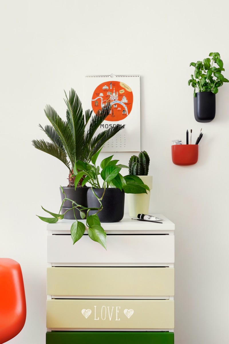 Aranżacja domowego biura z roślinnymi akcentami